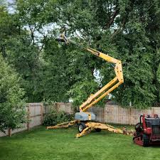 Artificial Turf Installation in Homer, AK